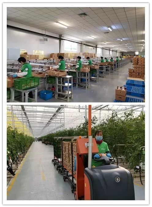 640-6.jpeg 640-6.jpeg