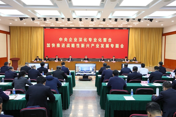 战新.jpg 战新.jpg